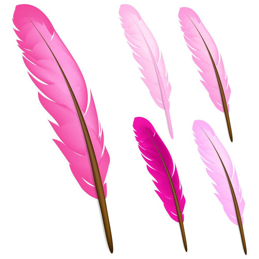 Pink Feather Wall Decal