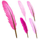 Pink Feather Wall Decal