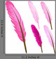 Pink Feather Wall Decal