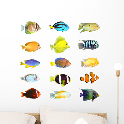 Fifteen Tropical Fish Wall Stickers shown on a wall