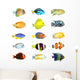 Fifteen Tropical Fish Wall Decal