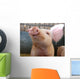Pig Wall Mural