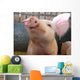 Pig Wall Mural