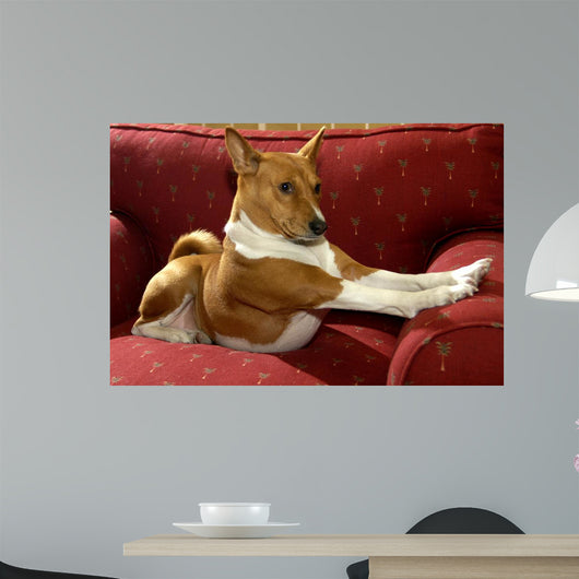 Basenji Strech Wall Decal