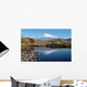 Mount Shasta Reflection Wall Decal
