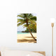 Palm Tree