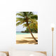 Palm Tree