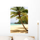 Palm Tree