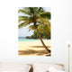 Palm Tree