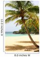 Palm Tree