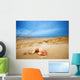 Shells Sand Ocean Wall Mural
