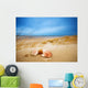 Shells Sand Ocean Wall Mural