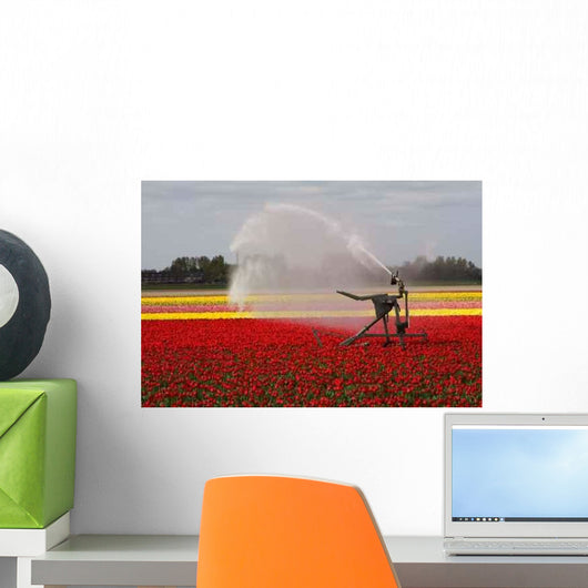 Tulip Field Sprayed Wall Decal