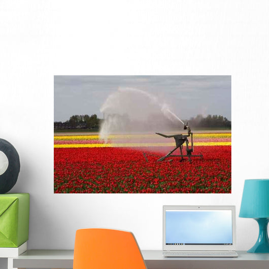 Tulip Field Sprayed Wall Decal