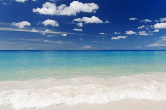 Beach Wall Mural