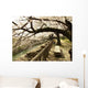 Ancient Cherry Trees Wall Decal