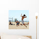 Beach Volleyball Wall Mural