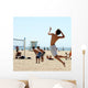 Beach Volleyball Wall Mural