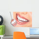 teeth Wall Mural
