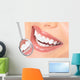 teeth Wall Mural