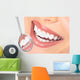 teeth Wall Mural