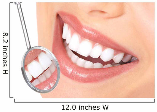teeth Wall Mural