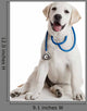 Veterinarian Dog
