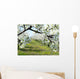 Cherry and Ploom Tree Branch in Bloom Wall Mural