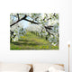 Cherry and Ploom Tree Branch in Bloom Wall Mural