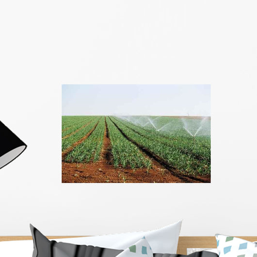 Irrigation Shoots Wall Decal