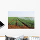 Irrigation Shoots Wall Decal