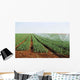 Irrigation Shoots Wall Decal