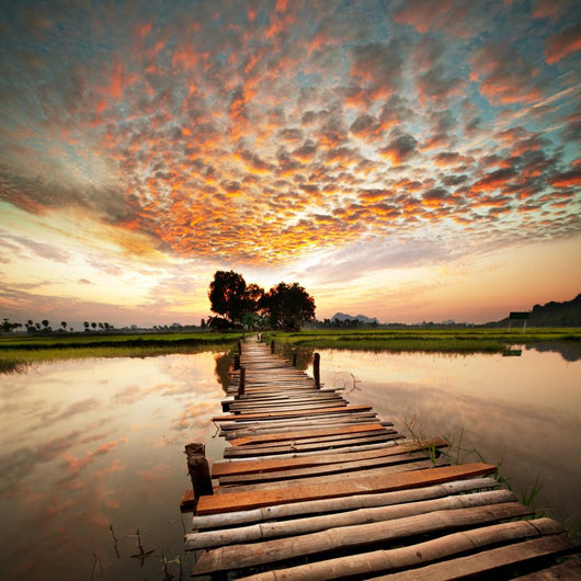River on sunset Wall Mural