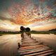 River on sunset Wall Mural