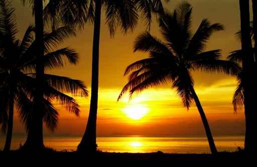 Sunset Equator Wall Decal
