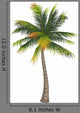 Coconut Palm Tree White Wall Decal