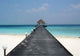 Maldives Jetty Wall Decal