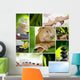 Mix