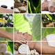 Zen Spa Collage Wall Mural