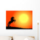 cavallo nel tramonto Wall Mural