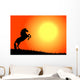 cavallo nel tramonto Wall Mural