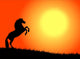 cavallo nel tramonto Wall Mural