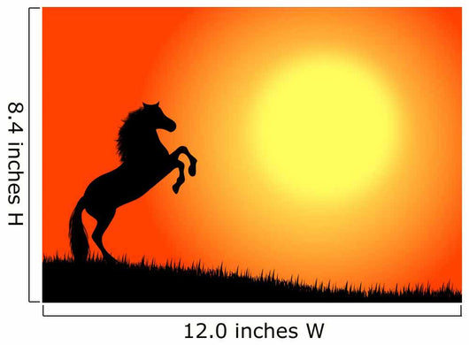 cavallo nel tramonto Wall Mural