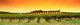 Vineyard Panorama Sunset Wall Decal