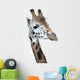 Head Rotschild Giraffe
