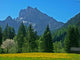 Fr Hlingsstimmung Wall Decal