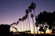 La Jolla Palms