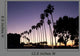 La Jolla Palms