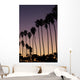 La Jolla Palms