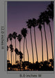 La Jolla Palms